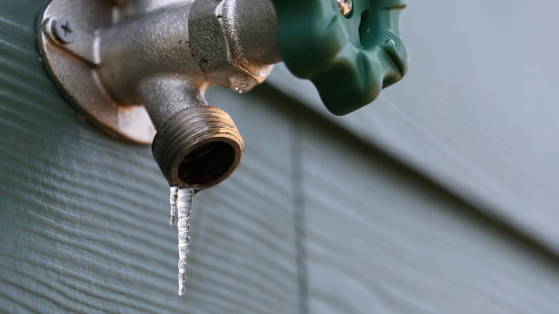 Best Plumbing Services Near Me  in Grizzly Flats, CA